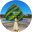 Lan Nguyen profile picture